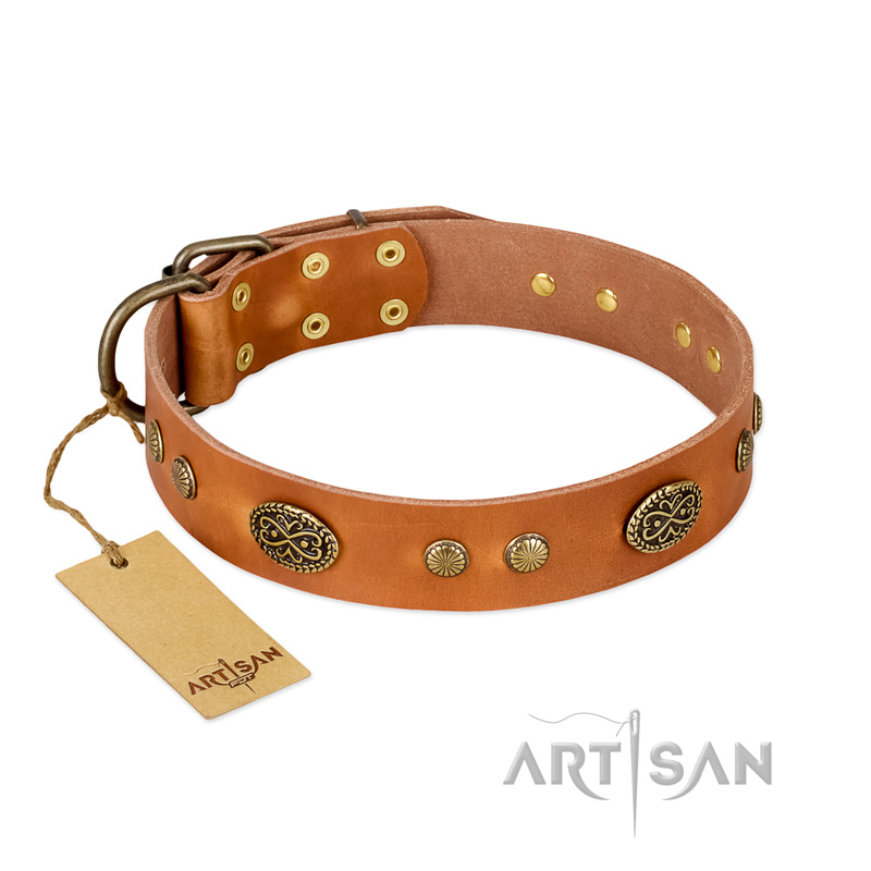 "Sun Beams" FDT Artisan Tan Leather Pitbull Collar with Decorations