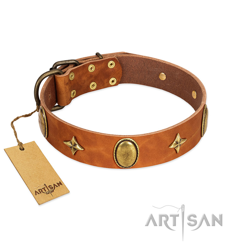 "Space Warrior" FDT Artisan Tan Leather Pitbull Collar with Ovals and Stars