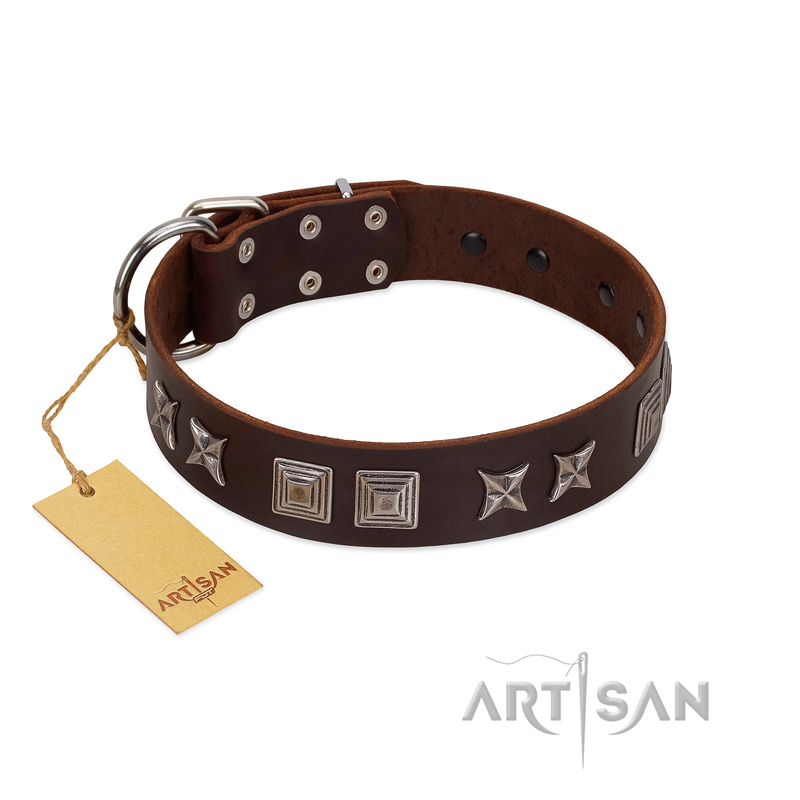 "Needle Stories" Modern FDT Artisan Brown Leather Pitbull Collar with Square Engraved Plates and Four-Point Stars