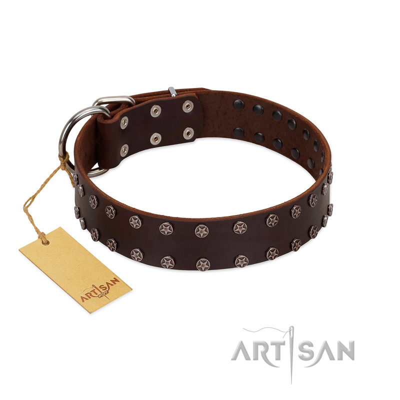 "Star Party" Handmade FDT Artisan Brown Leather Pitbull Collar with Silver-Like Studs