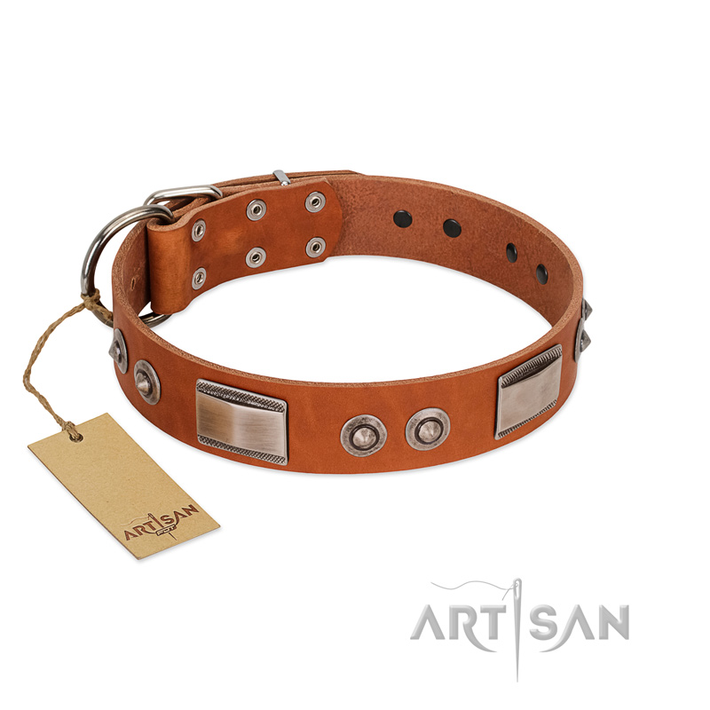 "Pawsy Glossy" FDT Artisan Exclusive Tan Leather Pitbull Collar 1 1/2 inch (40 mm) wide