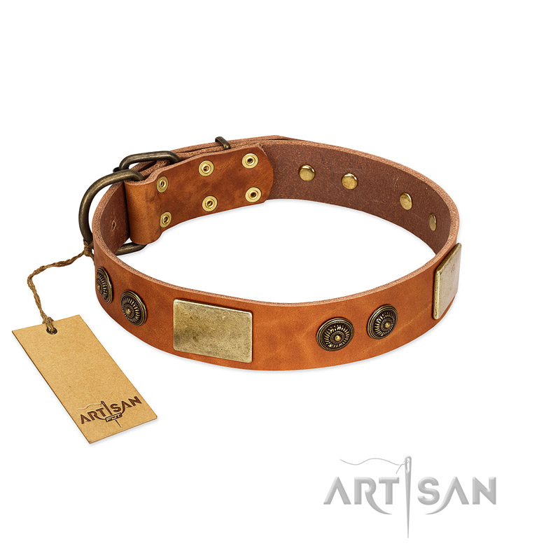 "Bronze Century" FDT Artisan Tan Leather Pitbull Collar with Plates and Brooches with Cool Ornament