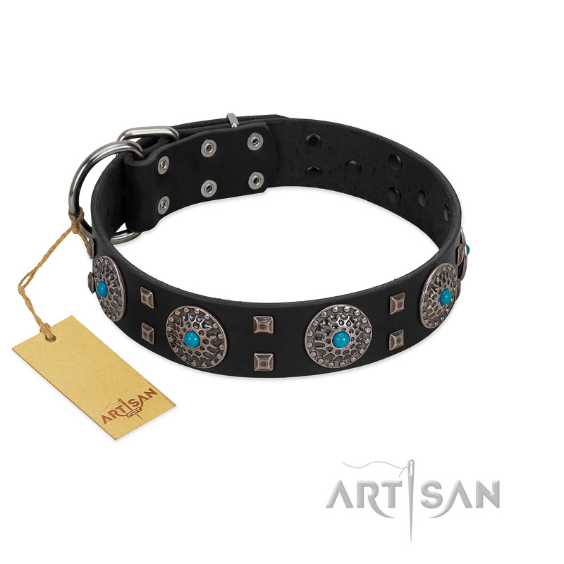 "Boundless Blue" FDT Artisan Black Leather Pitbull Collar with Chrome Plated Brooches and Square Studs