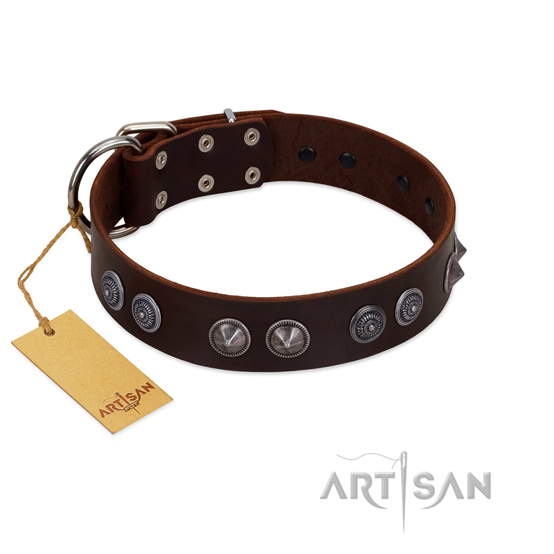 "King Arthur" FDT Artisan Brown Leather Pitbull Collar with Spiky Plates