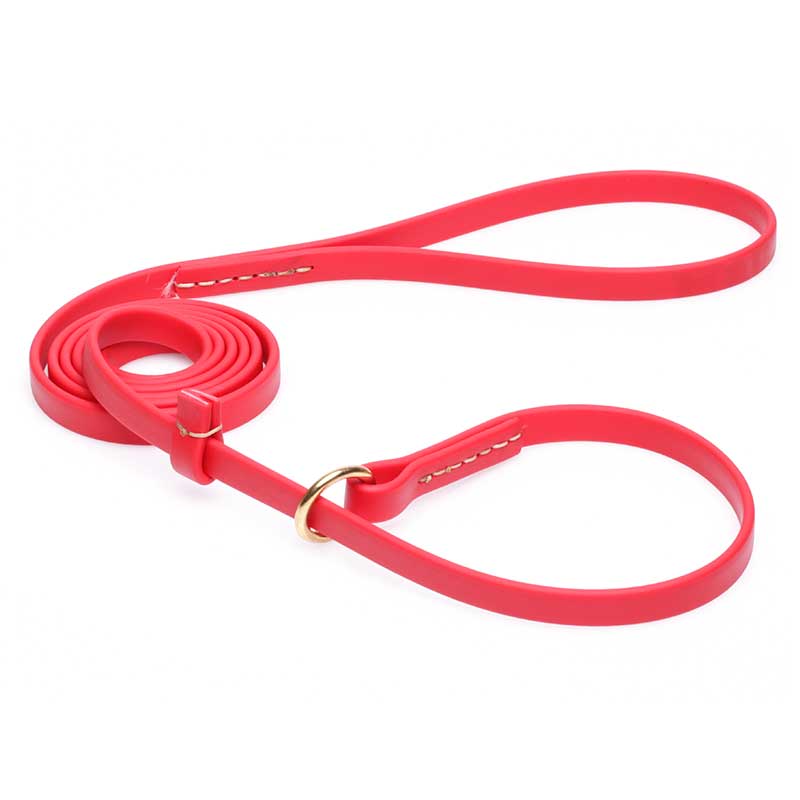 Durable Red Biothane Pitbull Leash and Collar Combo