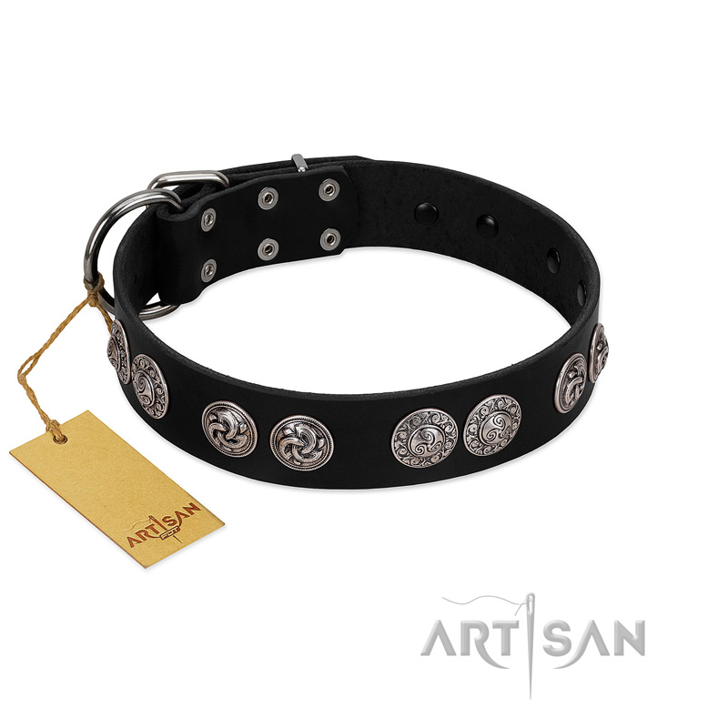 "Magic Amulete" Handcrafted FDT Artisan Black Leather Pitbull Collar with Chrome-Plated Shields - Click Image to Close