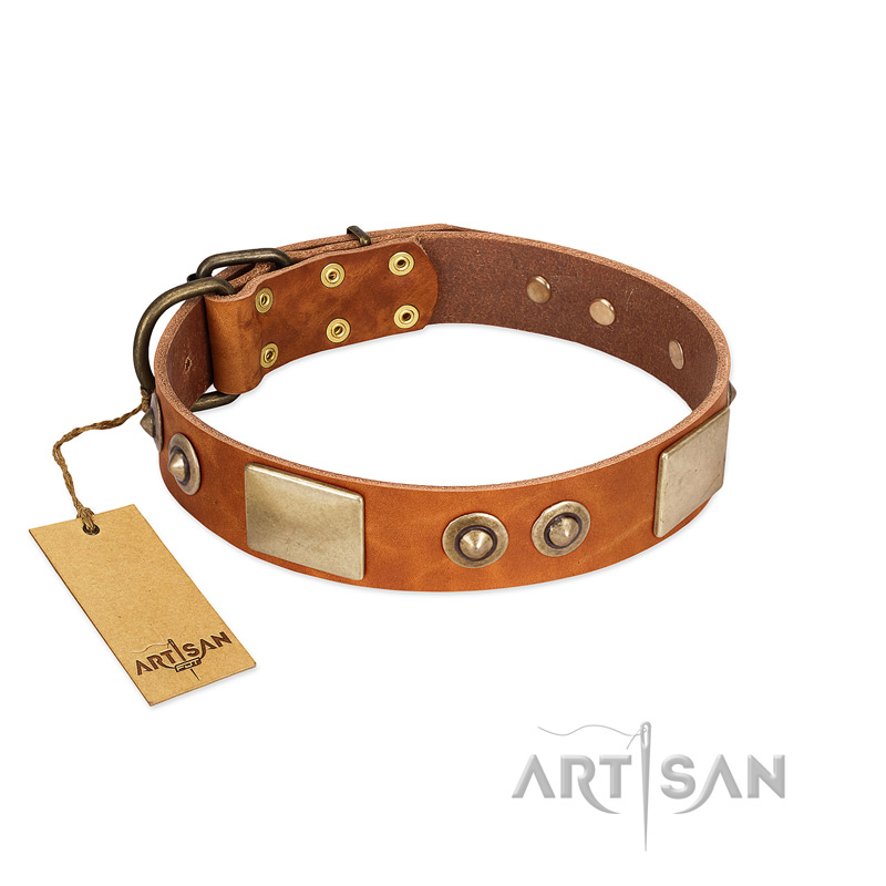 "Perfect Blend" FDT Artisan Tan Leather Pitbull Collar 1 1/2 inch (40 mm) wide