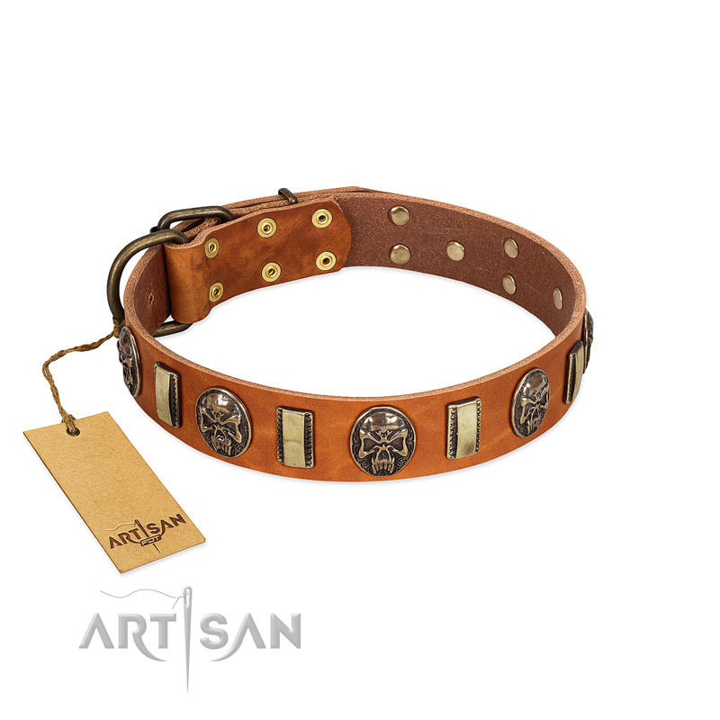 "Strike of Rock" FDT Artisan Tan Leather Pitbull Collar with Plates and Medallions with Skulls