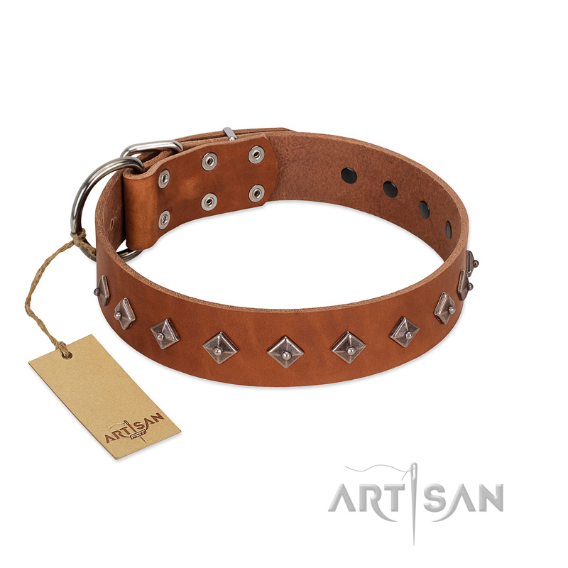 "Broadway" Handmade FDT Artisan Tan Leather Pitbull Collar with Dotted Pyramids - Click Image to Close