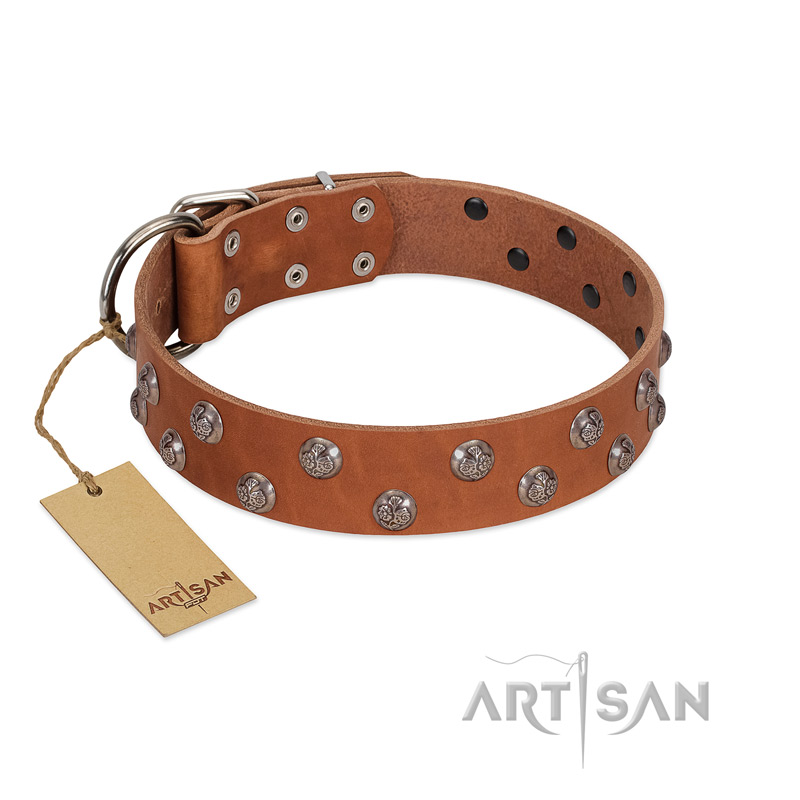 "Waltz of the Flowers" Handmade FDT Artisan Tan Leather Pitbull Collar with Chrome-plated Engraved Studs