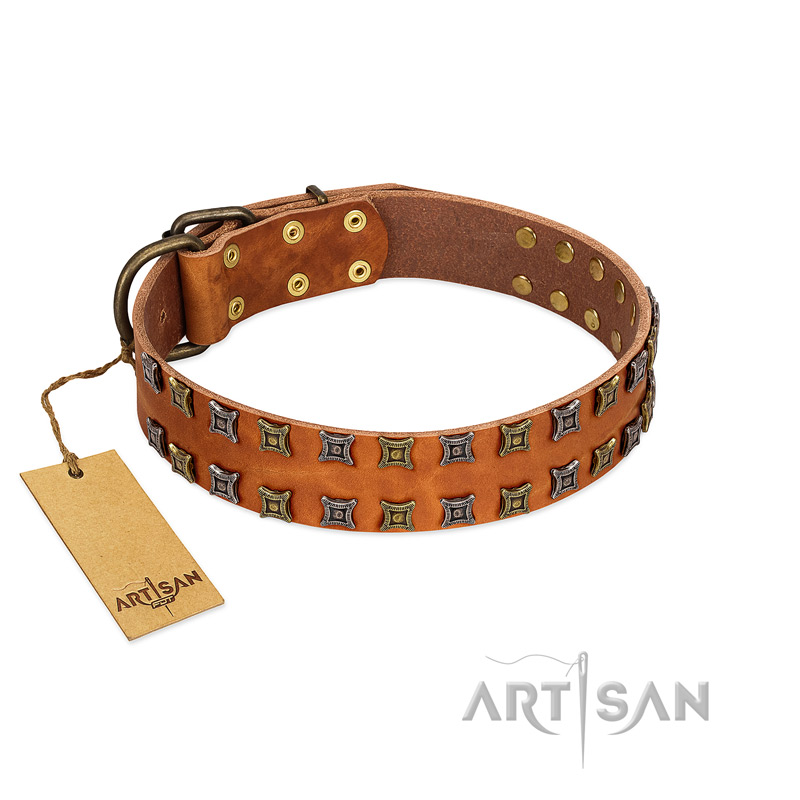 "Terra-cotta" FDT Artisan Tan Leather Pitbull Collar with Two Rows of Studs