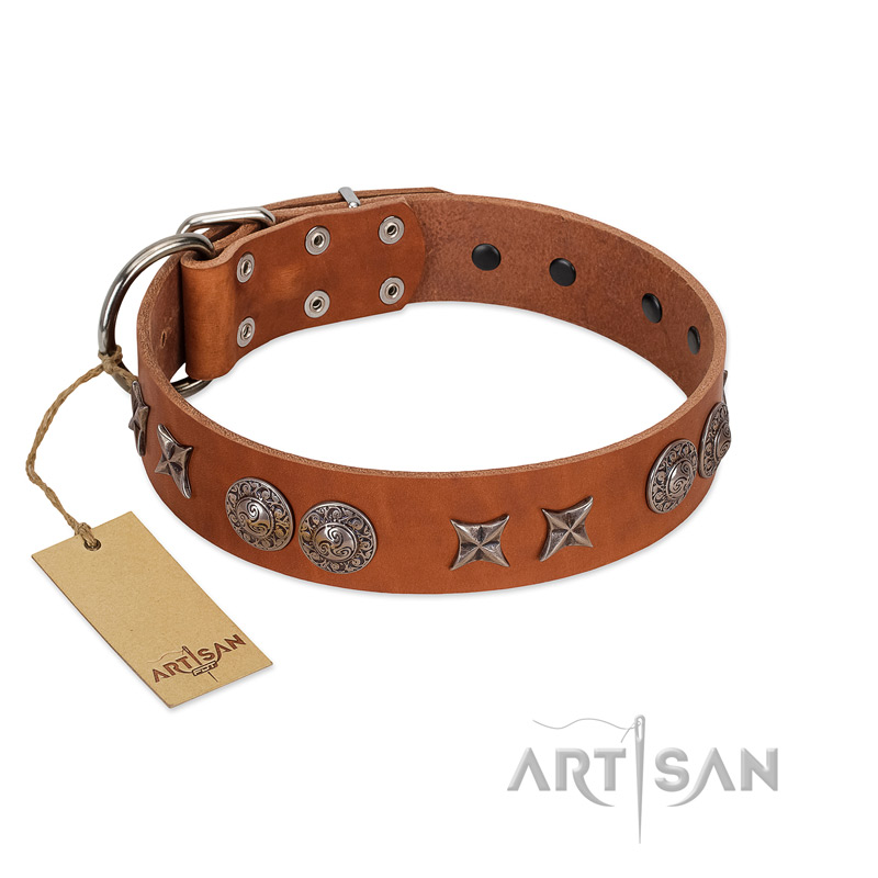 "Splendid Armor" Premium Quality FDT Artisan Tan Designer Pitbull Collar with Shields and Stars