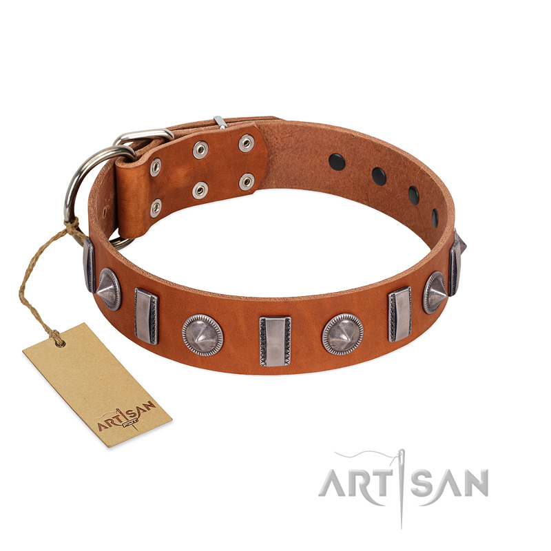 "Luxurious Necklace" FDT Artisan Tan Leather Pitbull Collar with Silver-Like Adornments