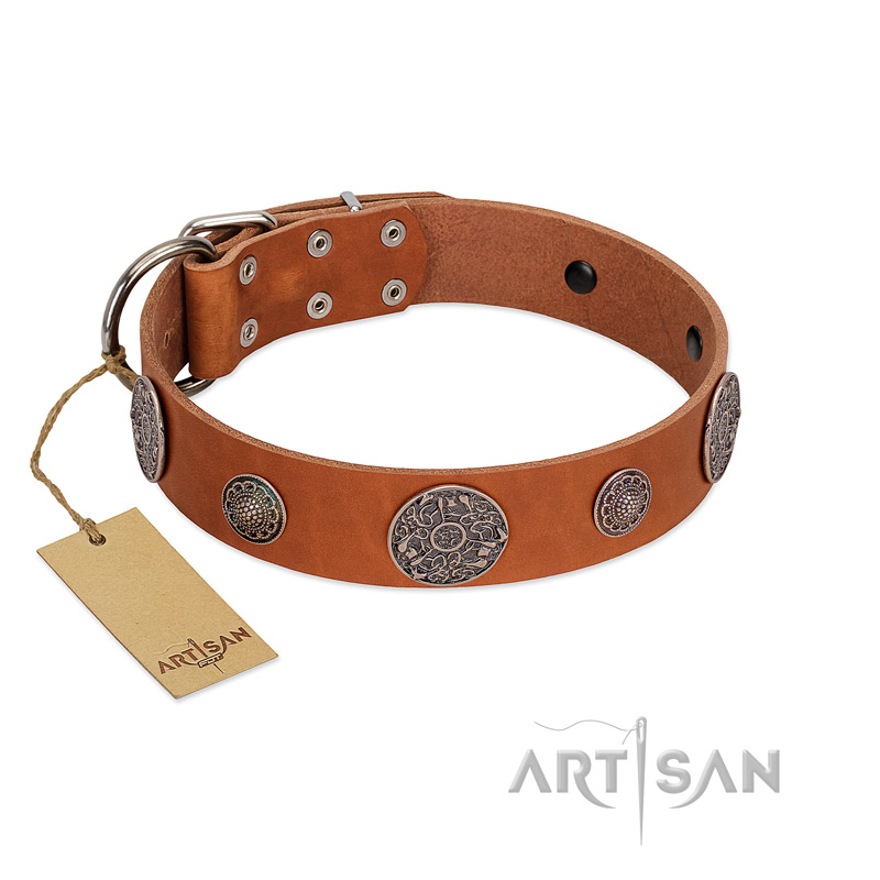 "Foxy Nature" FDT Artisan Tan Leather Pitbull Collar with Chrome Plated Brooches - Click Image to Close