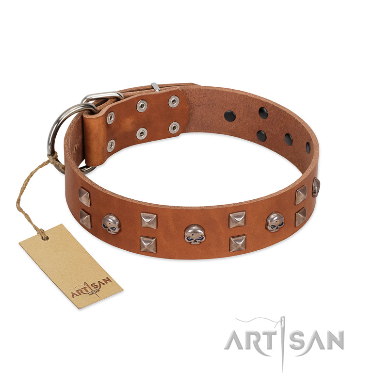"Enchanted Skulls" FDT Artisan Tan Leather Pitbull Collar with Chrome Plated Skulls - Click Image to Close