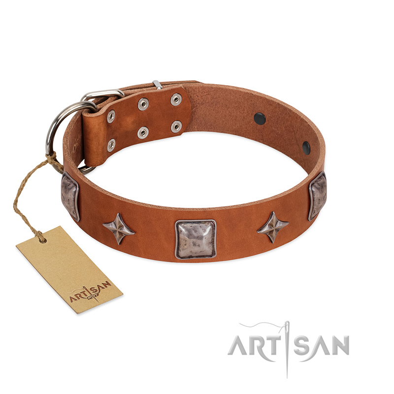 "Lucky Star" FDT Artisan Tan Leather Pitbull Collar with Silver-Like Embellishments