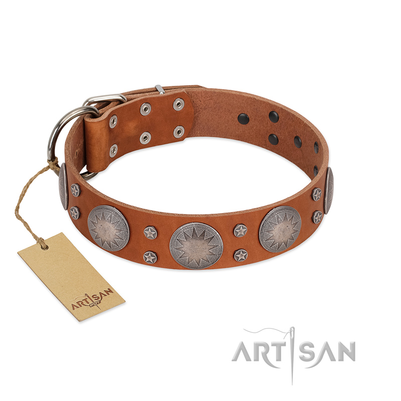 "Far Star" FDT Artisan Tan Leather Pitbull Collar with Engraved Studs - Click Image to Close