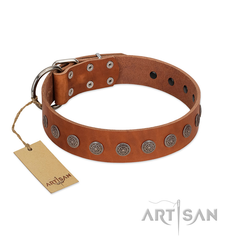 "Lucky Star" Handmade FDT Artisan Designer Tan Leather Pitbull Collar with Round Plates