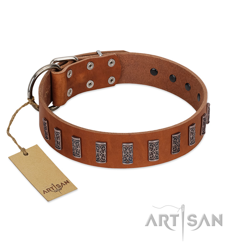"Silver Century" Fashionable FDT Artisan Tan Leather Pitbull Collar with Silver-Like Plates