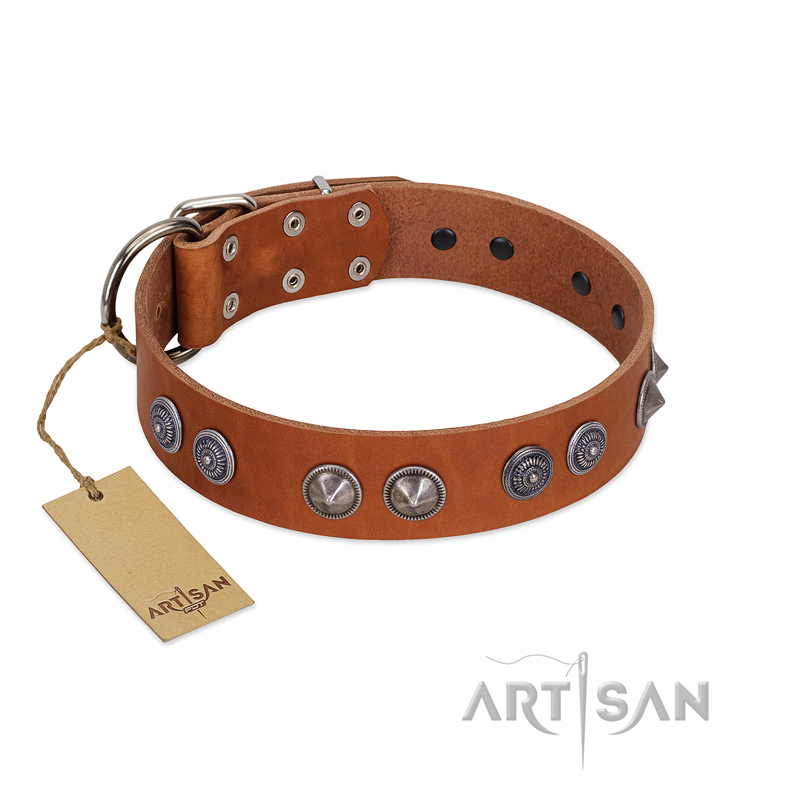 "Silver Necklace" Incredible FDT Artisan Tan Leather Pitbull Colar with Silver-Like Adornments
