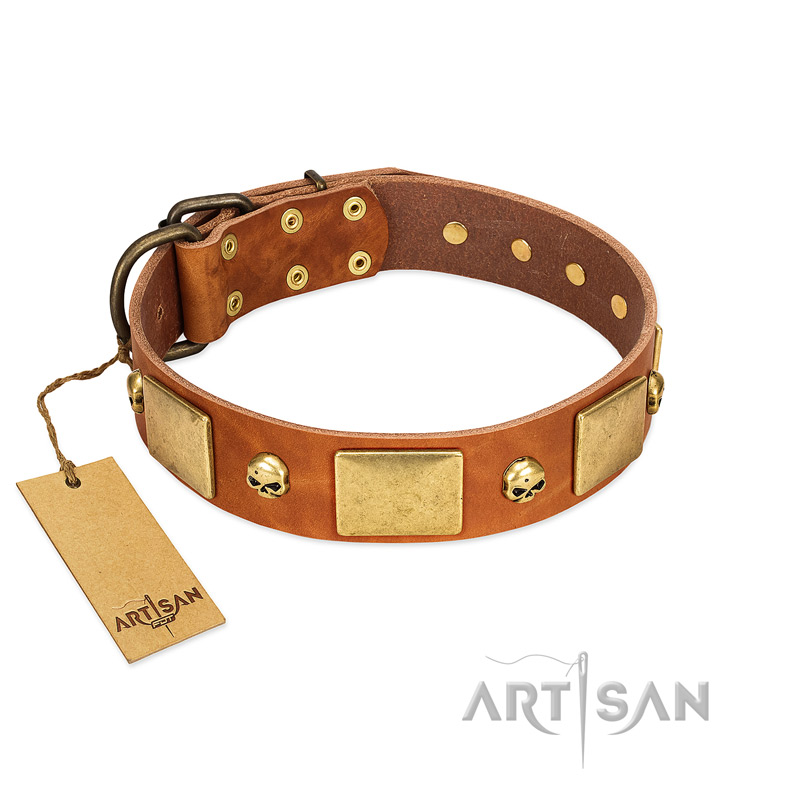 "Mutt The Daredevil" FDT Artisan Tan Leather Pitbull Collar with Old Bronze-like Skulls and Plates