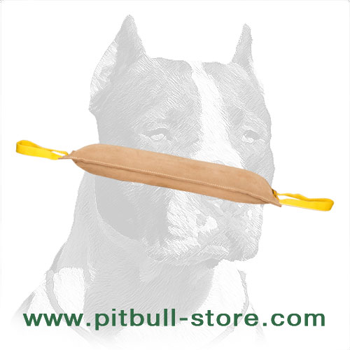 Big-Sized Pibull Training Dog Bite Tug