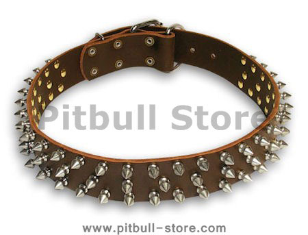 PITBULL Spiked Brown dog collar 19 inch/19'' collar - S44