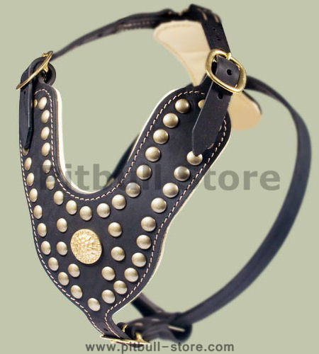 Brass Studded Dog Harness-Studded Leather Dog Harness for Pitbul