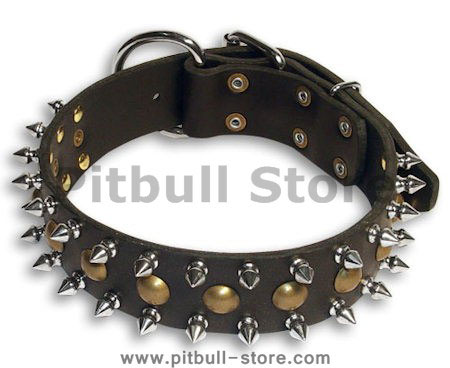 Spiked Dog Collar