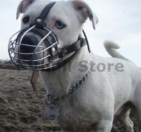 cage Dog muzzle for pitbull -wire basket dog muzzle-metal muzzle