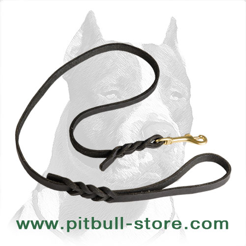 Leather dog leash handmade