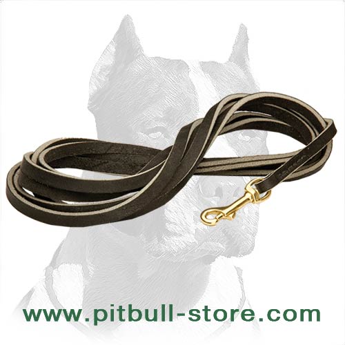 Handcrafted Leather Dog Leash