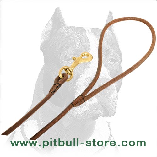 Easy to use Snap-hook for attaching to a Collar