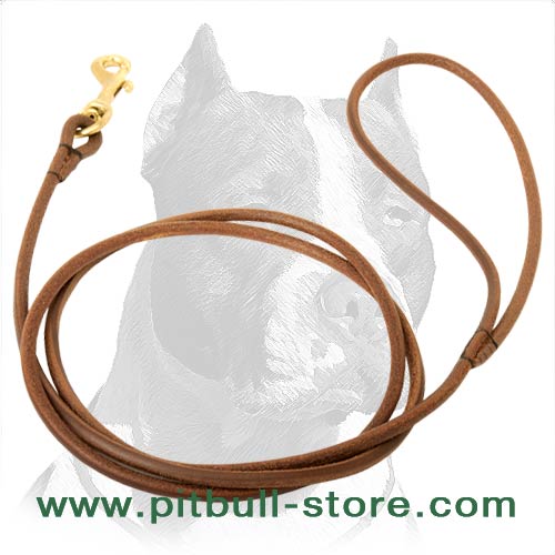 Thin Leather 【Leash】 perfect for Dog Shows : Pitbull Breed: Dog Harnesses,  Collars, Leashes, Muzzles, Breed Information and Pictures