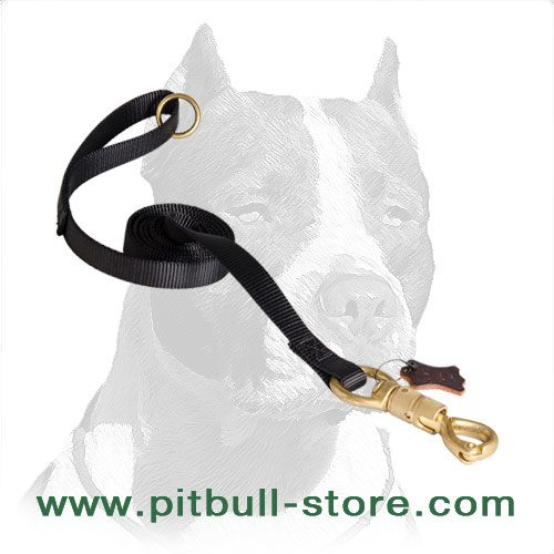 strong leash for pitbull