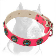 Lovely Pink Pitbull Dog Collar Decorated with Blue Stones