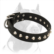 'Mighty King' Pitbull Dog Collar