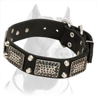 New Designer Durable Pitbull Dog Collar