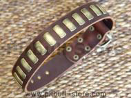 Gorgeous Wide Leather Dog Collar With Plates