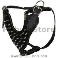 Leather Spiked Dog Harness- Deluxe custom Leather Harness