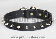 Puppy Spiked Dog Collar- 1 Row of spikes dog collar