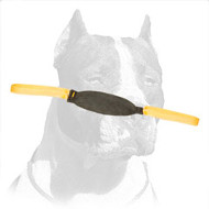 'Firm Bite' Pitbull Training Tug of Leather