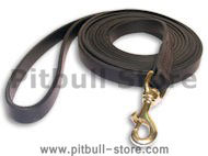 Leather dog leash handcrafted and stitched-3/4inch to 6 FT- L2ST