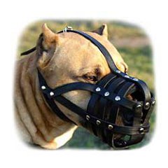 Super light leather muzzle