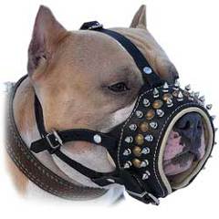 Comfortable Pitbull muzzle