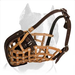 Genuine leather Pitbull muzzle