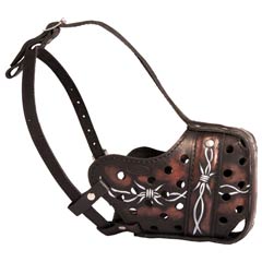 Painted muzzle for agitation training