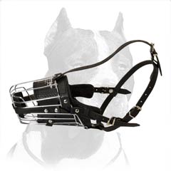 Pitbull Dog Muzzle for different purposes