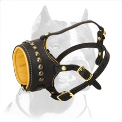 Beautiful Dog Muzzle with Brass Studs