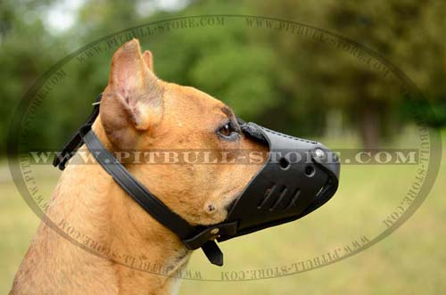 Handmade Pitbull Muzzle with adjustable straps